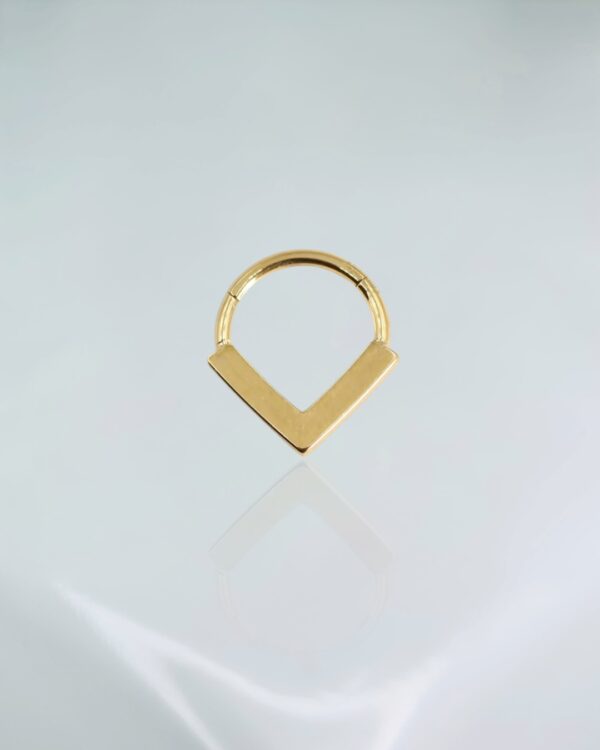 Segmento vox titânio PVD gold