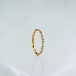 Segmento cravejado titânio PVD gold