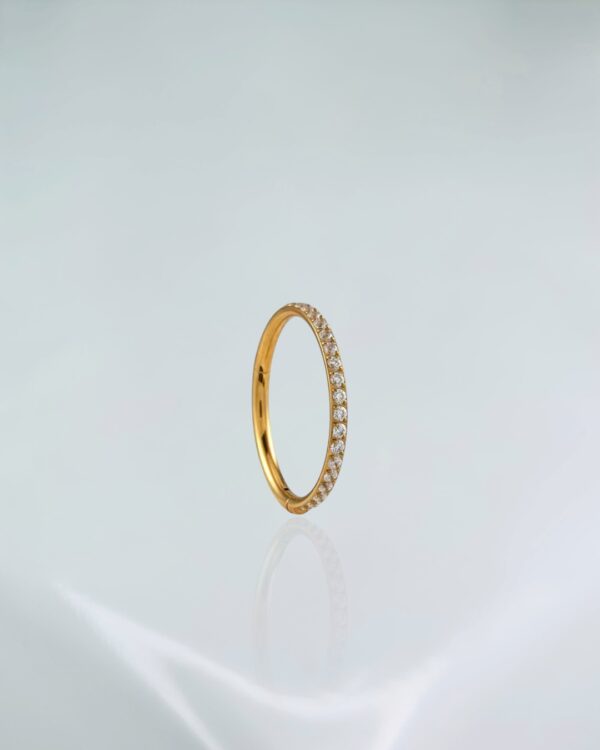 Segmento cravejado titânio PVD gold