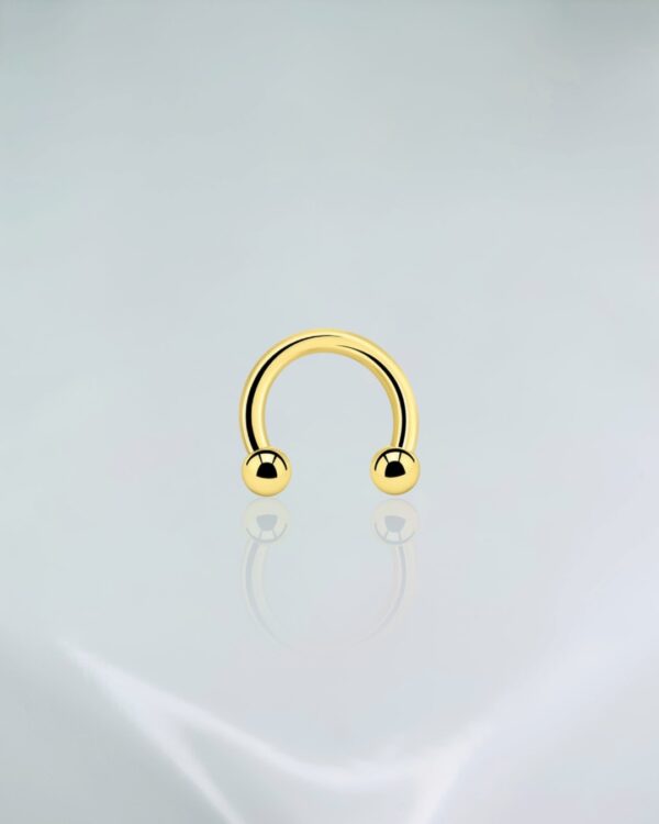 Circular barbell titânio PVD gold
