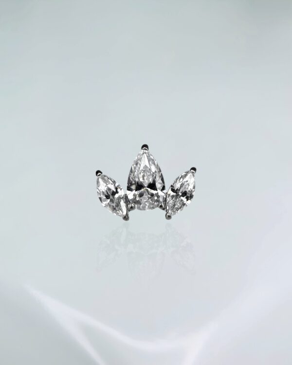 Piercing labret 3 folhas titânio ASTM F-136