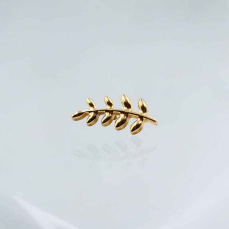 Piercing Titânio Labret Galho Liso Pvd Gold