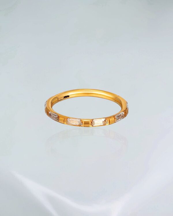 Segmento zirconias ret titânio PVD gold