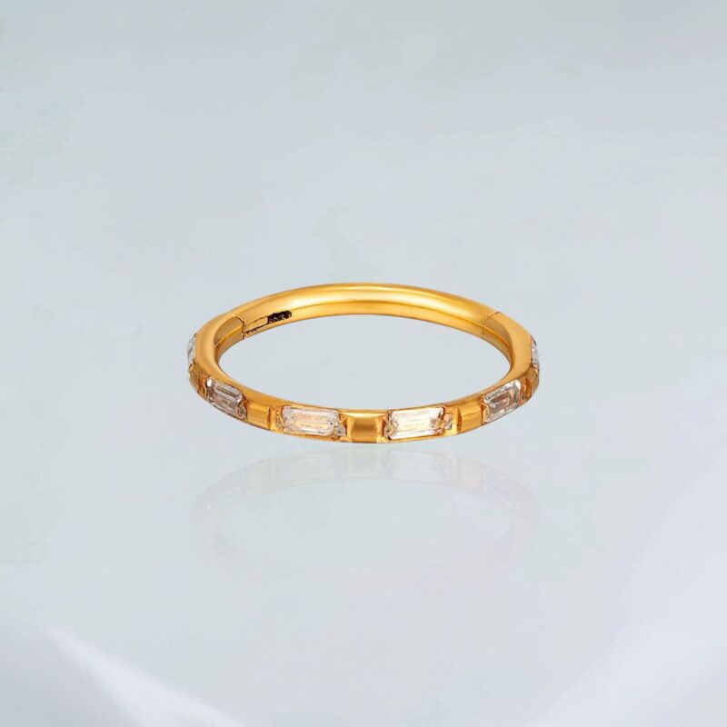 Piercing Titânio Segmento Zirconias Ret Pvd Gold