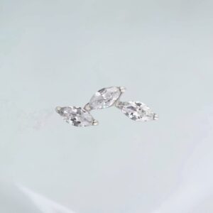 Piercing labret galho 3 folhas titânio ASTM F-136