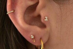 Imagem WhatsApp 2025-11-25 às 13.04.01_d1200f7f