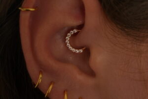 3A5B588D-9544-4632-950B-13773B22A63D